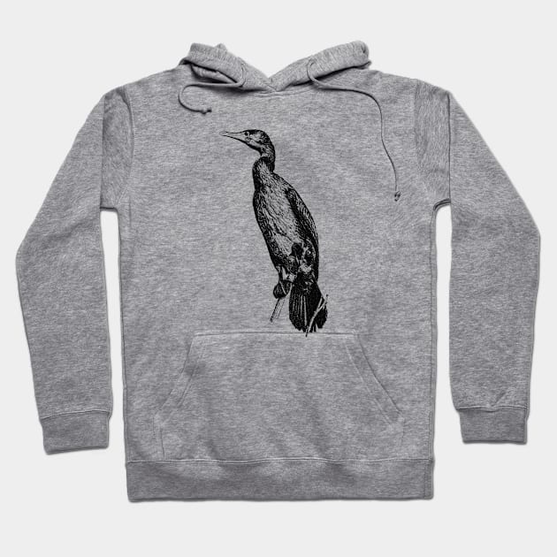 Cormorant Hoodie by Guardi